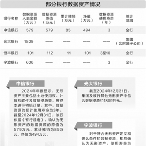 数据资源从成本项转为资产项 多家银行数管齐下抢先“挖矿” ...
