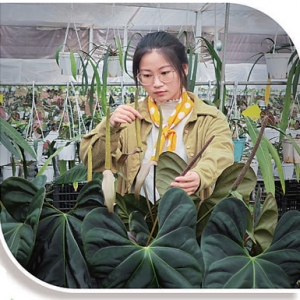 “兴农人”在田野展才能（乡村全面振兴中的青春力量）