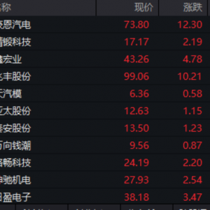 两大板块，涨停潮！