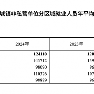 国家统计局公布：城镇非私营单位就业人员年平均工资124110元 名义增长2.8% ...