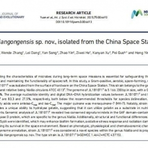首次公布！我国空间站内发现微生物新物种