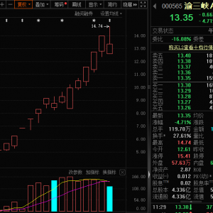 人气牛股，跌停开盘，股价剧震！杠杆资金加仓股出炉