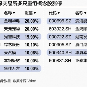 重组新政激发市场热情 概念股掀涨停潮，政策背后“喜”与“慎” ...