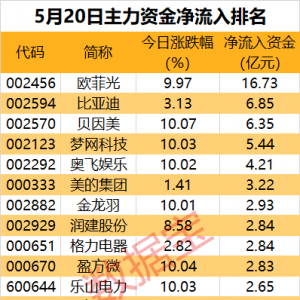 主力资金