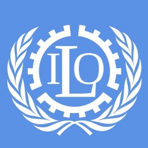 国际劳工组织：全球四分之一工作岗位或受生成式人工智能影响 ...