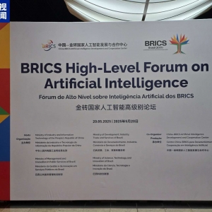 金砖国家人工智能高级别论坛在巴西召开