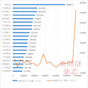 738万！A股最贵董秘年薪曝光！近七成公司涨薪，一半在缩编！2024最撕裂行业现场：比亚 ...