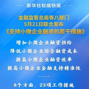 新华社权威快报丨支持小微企业融资 八部门联合发文