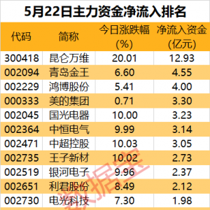 主力资金
