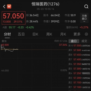 又一只A+H股来了！牛股标准“三件套”：顶格定价、超额认购、开盘大涨！ ...