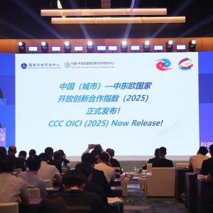 中国（城市）—中东欧国家开放创新合作指数（2025）发布：京沪位列前二 10城优势明显 ...