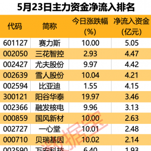 主力资金