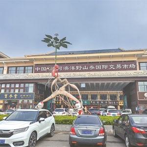 东北边境小城集安：“三驾马车”驱动 人参产业跑出加速度