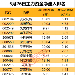 主力资金丨尾盘资金大幅抢筹2股
