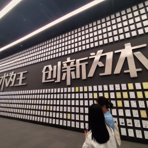深港交易所携手境外投资者走进上市公司 见证深市公司科技创新实力与潜力 ...