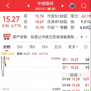 杠杆资金大幅加仓股，集中这两大行业！
