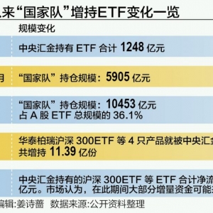 “国家队”加码6亿认购ETF