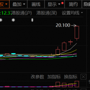 香港，重磅利好！这个板块，集体飙涨！