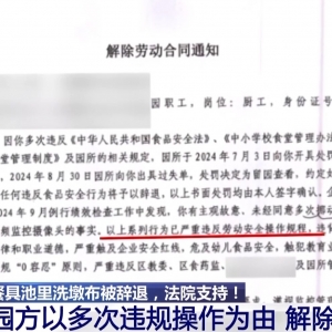 一名厨工在幼儿园洗碗池里洗墩布被辞退 法院：支持！儿童安全重于一切 ...