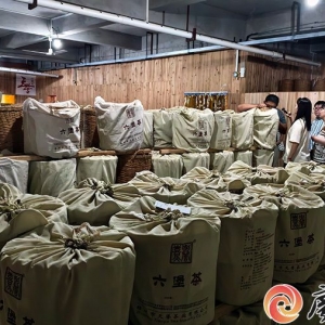 金融“组合拳”赋能六堡茶产业高质量发展