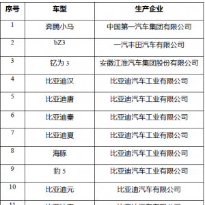 五部门组织开展2025年新能源汽车下乡活动