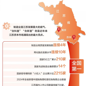制造衬底科创点睛 “苏”绣资本市场高质量发展篇章丨从资本市场看地方高质量发展·江 ...