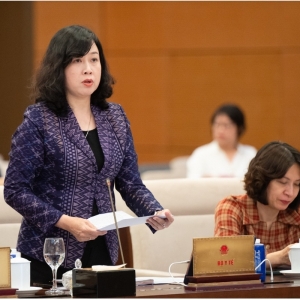 越南国会通过法律修正案 取消生育限制