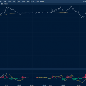 商品日报（6月6日）：集运欧线、氧化铝领跌 白银增仓大涨创上市新高 ...