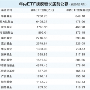 公募ETF强者恒强 中小公司错位谋变