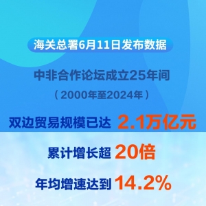 25年年均增速达14.2%，中非贸易规模已超2万亿元