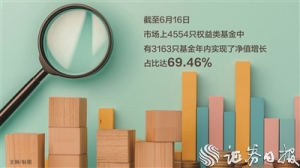 今年以来主动权益类基金业绩整体“水涨船高” 产品表现呈“两极分化” ...