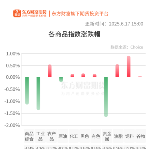 期市收评