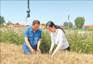 在麦田里，驻村干部学到什么（干部状态新观察·走进一线探作风） ...