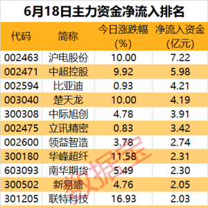 主力资金