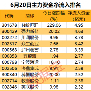 主力资金