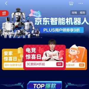 售价4万元起 人形机器人集体上架