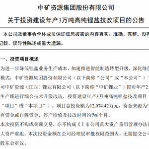 中矿资源拟建设年产3万吨高纯锂盐技改项目 停产检修技改时间约6个月 ...