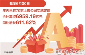上半年A股定增规模同比增长逾6倍 银行、非银金融等行业募资规模较大 ...
