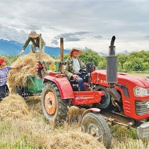 把“桃花村”品牌擦得更亮（回信背后的故事）