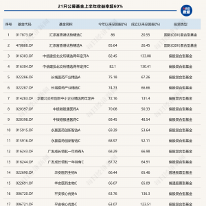 基金上半年业绩全扫描：创新药主题基金“霸榜”，最高收益率超85% ...