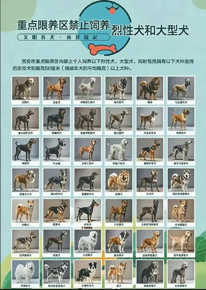 多地解禁土狗！童年的“大黄”可以回家了