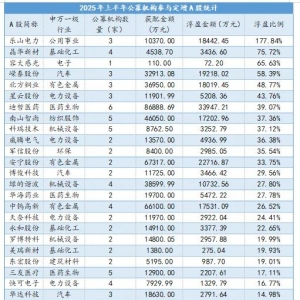 最高浮盈177%！上半年公募豪掷109亿参与定增