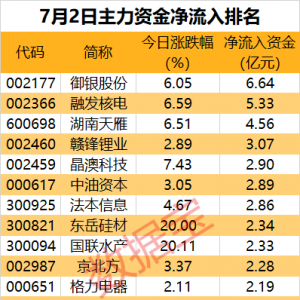 主力资金丨尾盘涨停！主力资金盯上这只光伏概念股