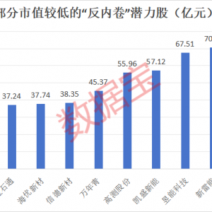 “反内卷”潜力股，超跌逾50%+业绩大反转，社保险资同时重仓股仅5只 ...