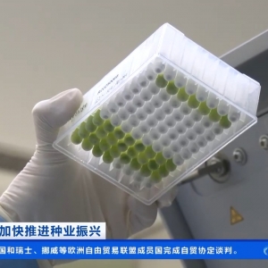 我国口粮品种自主率达到100% 粮食作物良种基本实现全覆盖