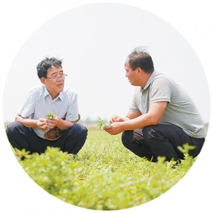 奏响新时代“黄河大合唱”的草牧乐章