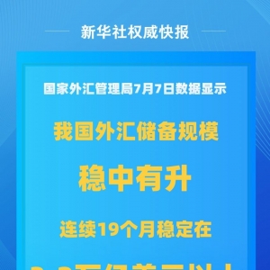 我国外汇储备规模上半年保持稳中有升