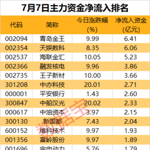 主力资金丨数字货币热股尾盘获大资金“杀入”