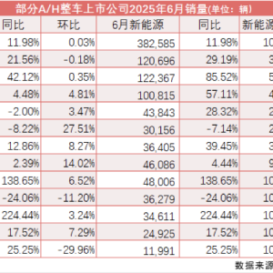 6月零售同环比增长再超两位数、渗透率连续四月逾50% “三驾马车”共助车市增长 ...