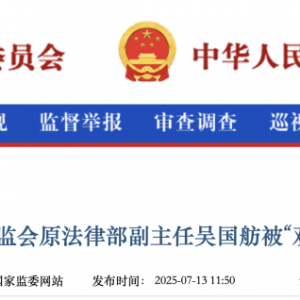 证监会原法律部副主任吴国舫被“双开”